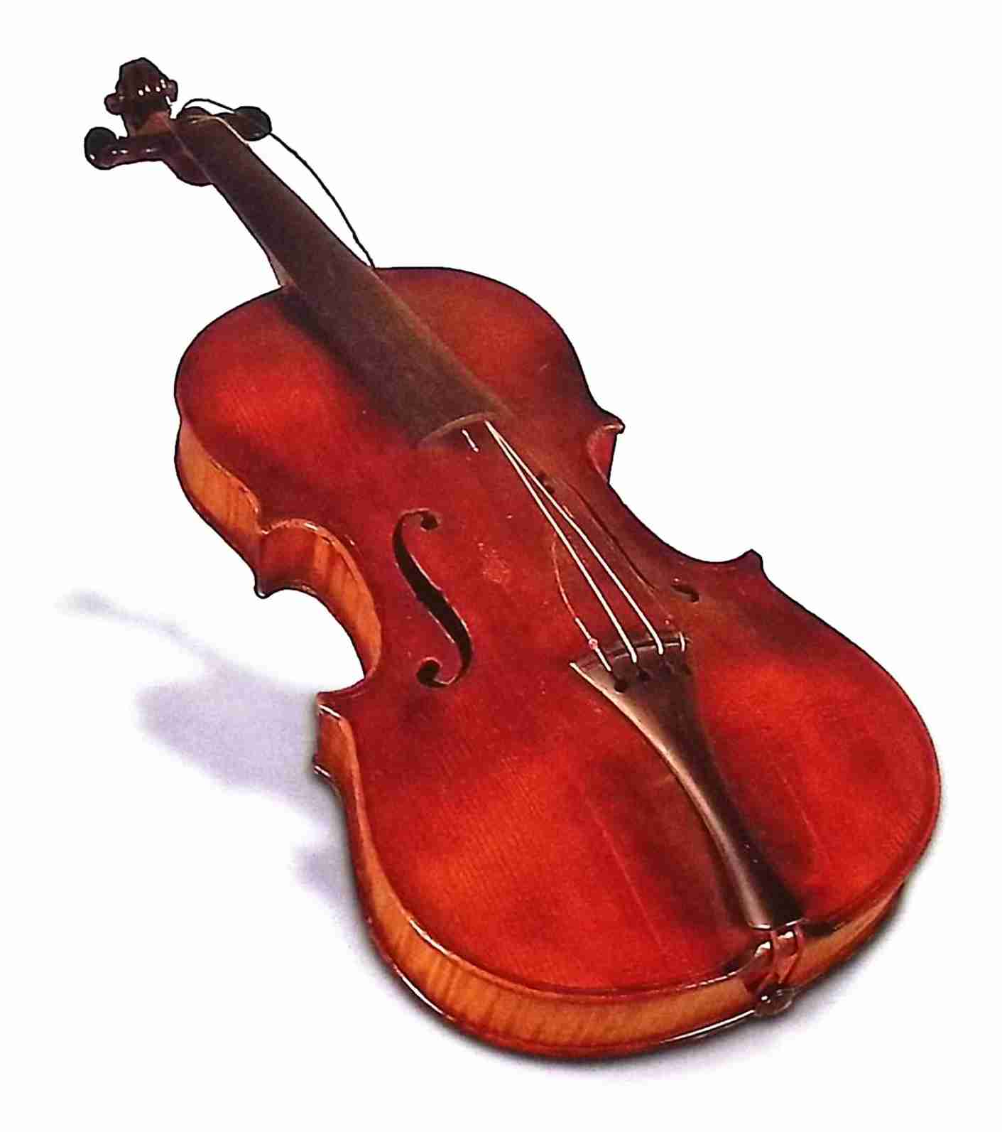 Violin