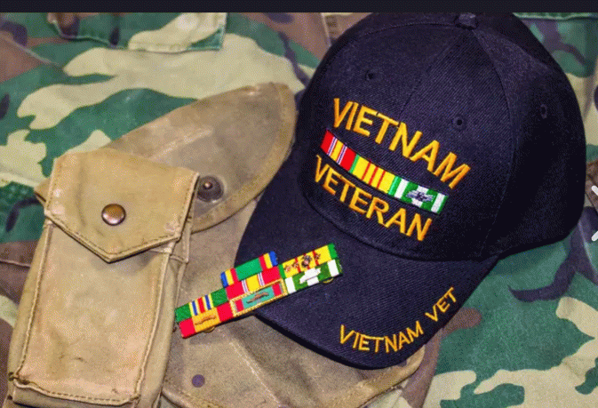 Hat: Vietnam Veteran